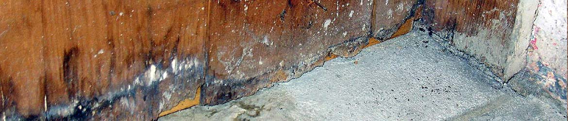 Free Water Damage Estimates in Durango and Pagosa Springs
