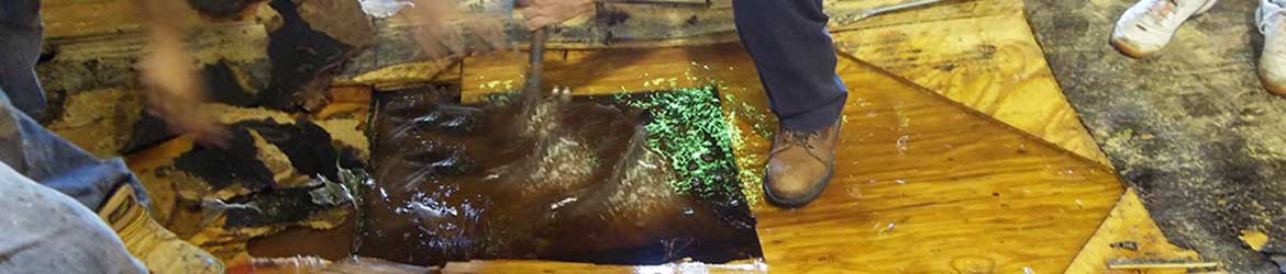 Sewage Cleanup Service in Durango and Pagosa Springs