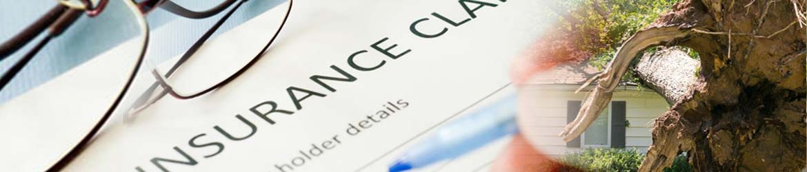 Storm & Flood Damage Insurance Claim in Durango and Pagosa Springs