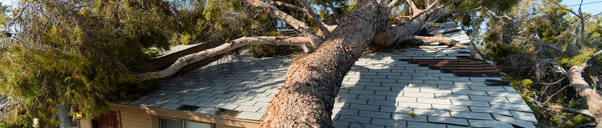 Straight-Line Winds Damage Repair in Durango and Pagosa Springs