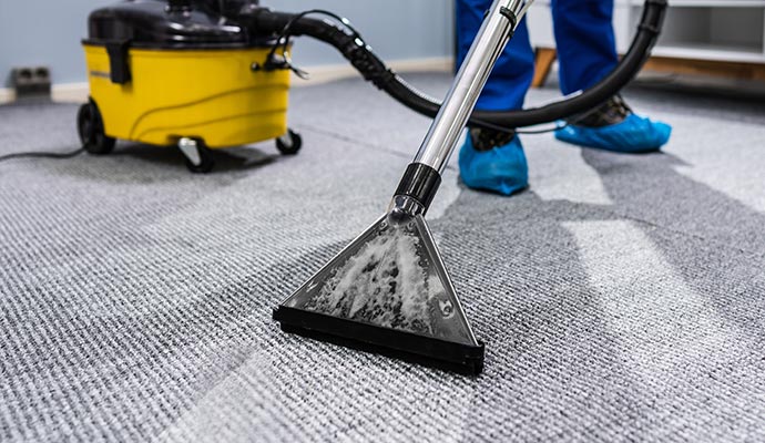 Professional carpet cleaning service using a vacuum cleaner