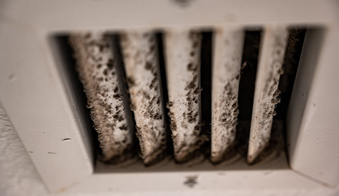 Mold inside duct