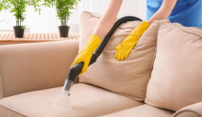 Professional worker cleaning sofa