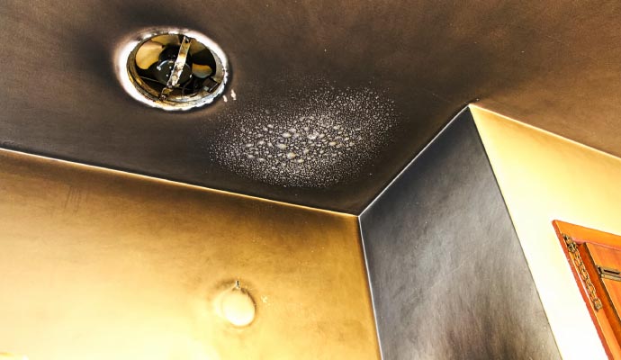 Ceiling with extensive fire and smoke damage