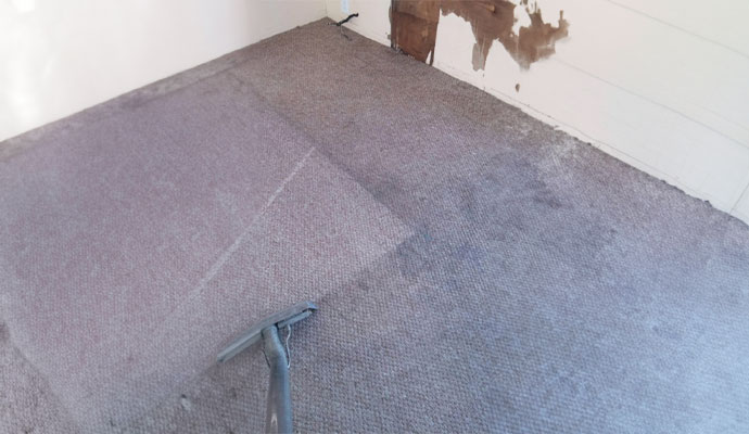 Man Cleaning Carpet With Vacuum