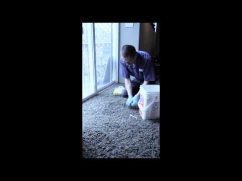 How to Clean Up Vomit Easily Video Thumb