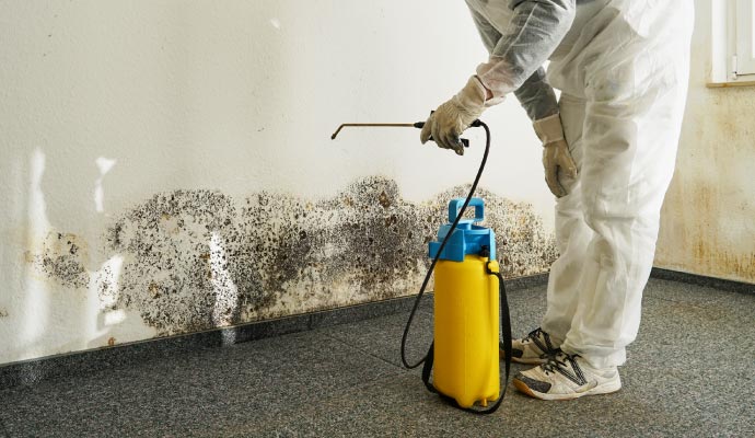 Person cleaning mold with equipment