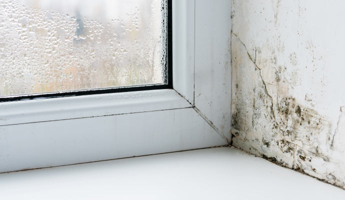 A window corner with black mold growth on the wall