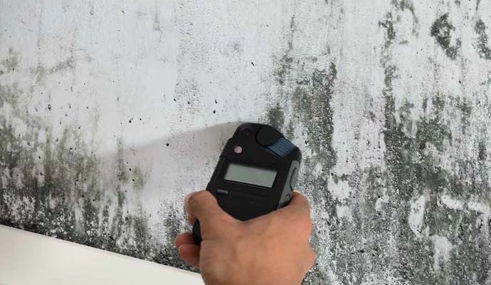 Worker testing mold on wall with mold testing device