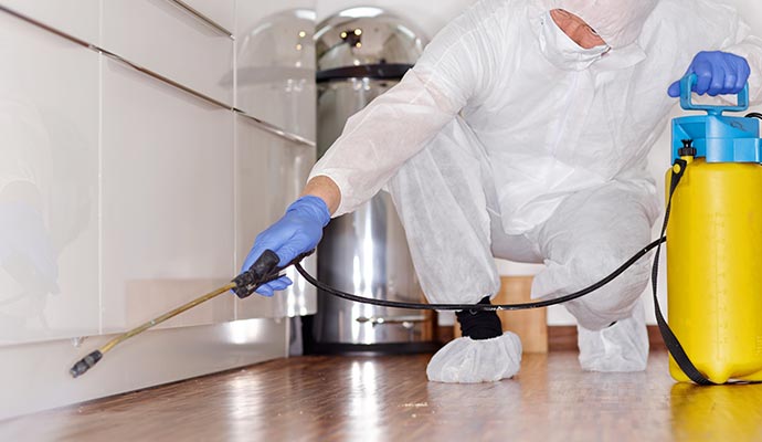 Professional disinfecting service