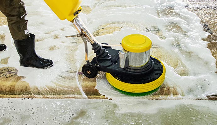 Professional worker cleaning rug