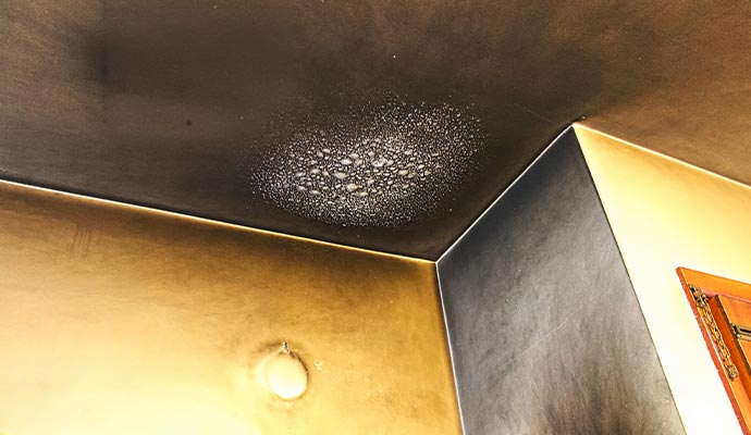 Soot damaged ceiling