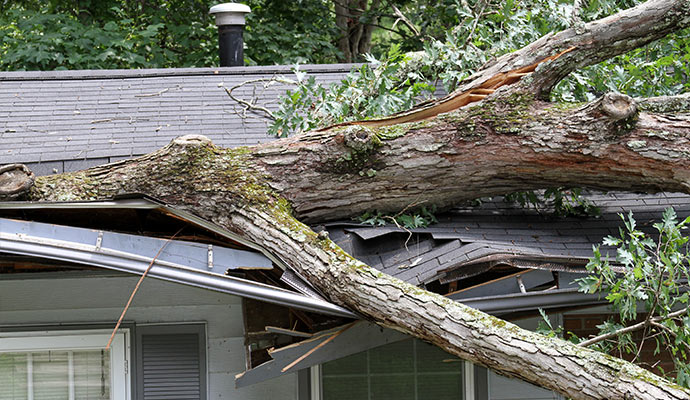Storm damaged roof