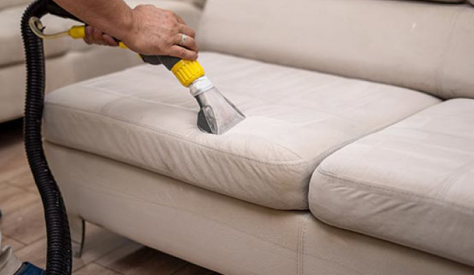 Professional upholstery cleaning service