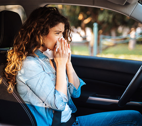 Bad smell inside vehicle