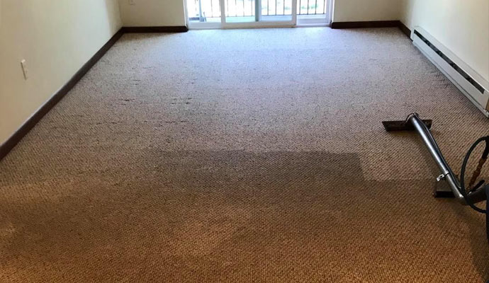 Carpet cleaning in progress