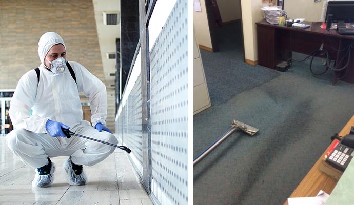 Collage of disinfecting and carpet cleaning
