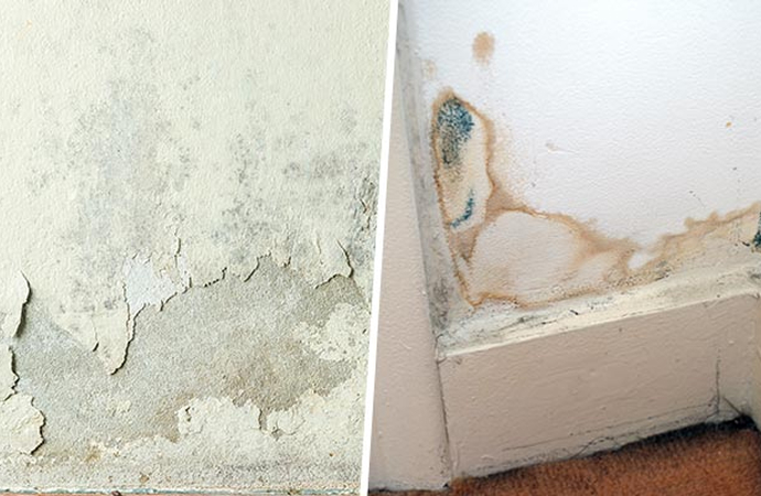 Collage of wall dampness and mold growth in a corner