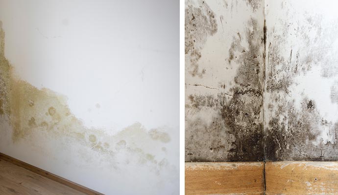 Collage of wet walls and mold on the wall