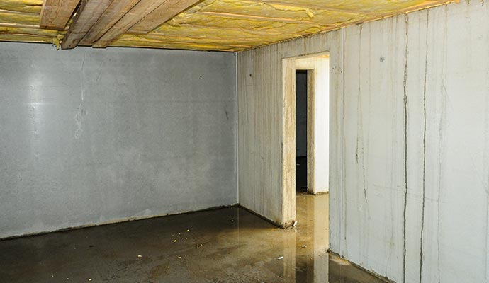 Residential basement flooded with water on the floor