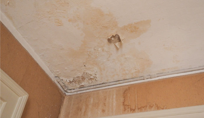 signs of hidden water leaks