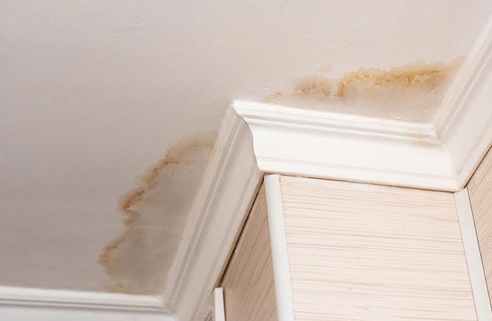 Floor Water Damage Stain Removal in Durango and Pagosa Springs